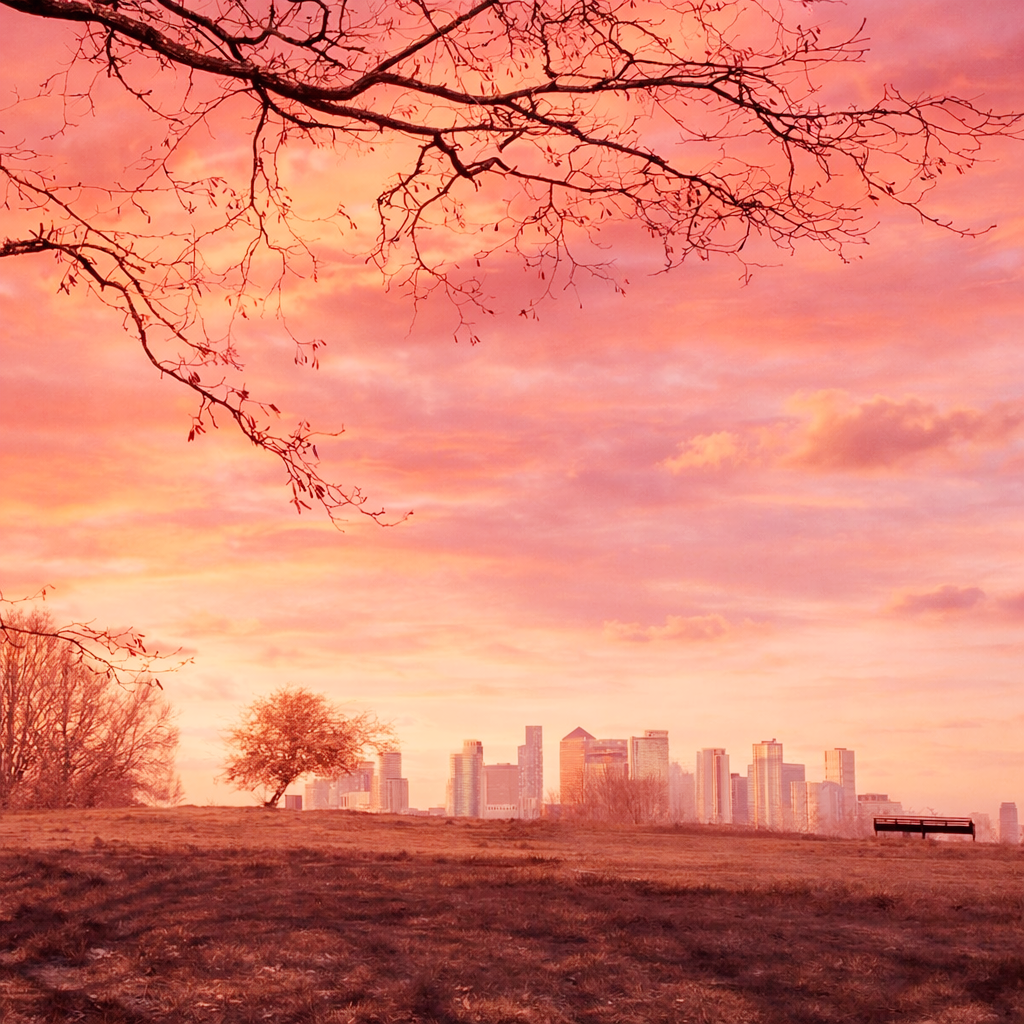 nature therapy Greenwich Park supporting mental wellbeing and emotional balance